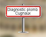 Diagnostic plomb AC Environnement à Cugnaux